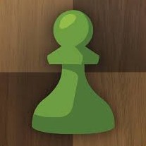 Playing Chess